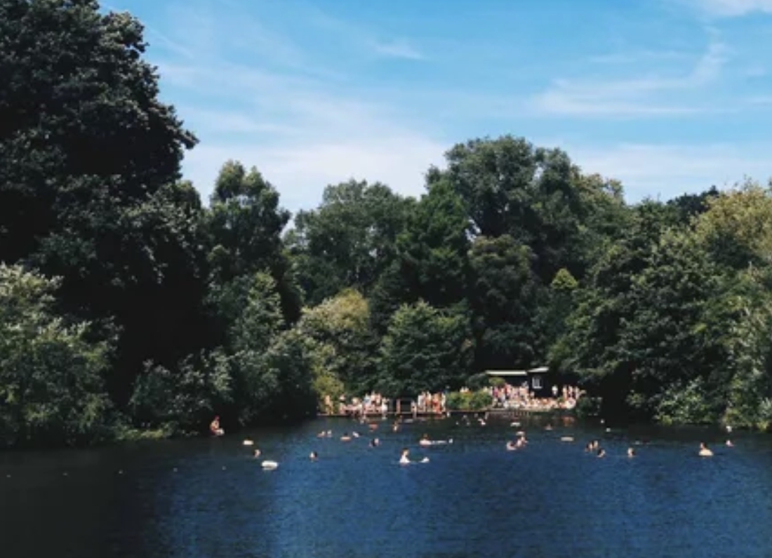 Hampstead Heath Swimming Pond