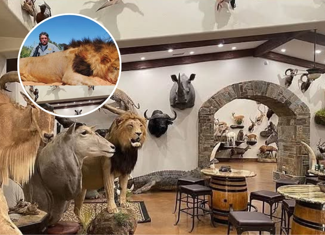 Interior of a trophy room filled with mounted animals and taxidermy displays, with an inset photo of Ernie Dosio beside a lion.
